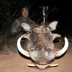 Warthog Bowhunting South Africa