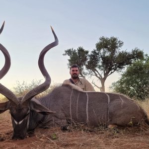 Kudu Hunting South Africa