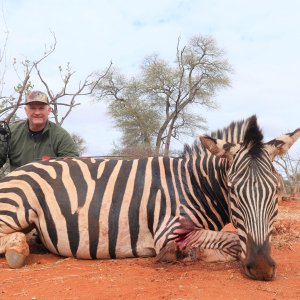 Zebra Bow Hunting Botswana