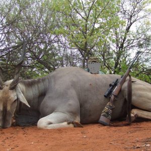 Eland Hunting