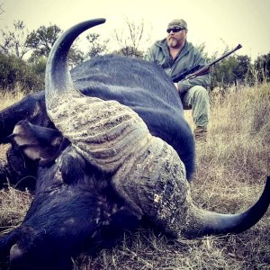 Buffalo Hunting