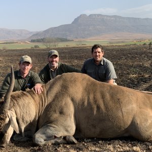 Eland Hunt