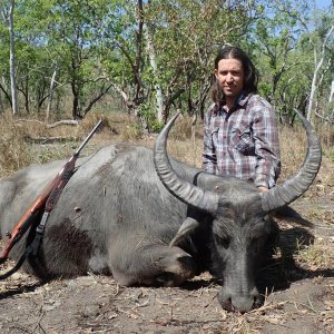 Water Buffalo Cow Hunt Australia