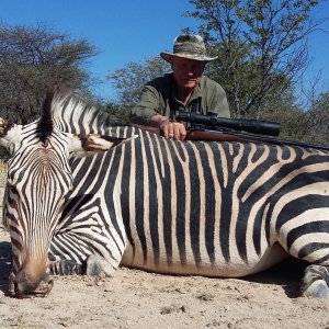 Hartmann's Zebra Hunting Namibia