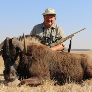 Black Wildebeest Hunt South Africa