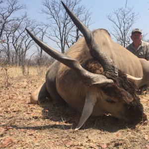 Eland Hunting Zimbabwe