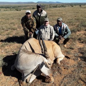 Eland Hunting South Africa