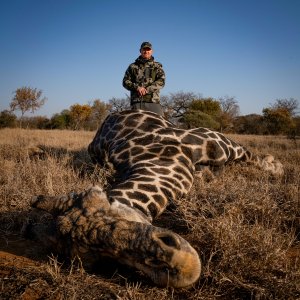 Black Giraffe Bull Hunt South Africa