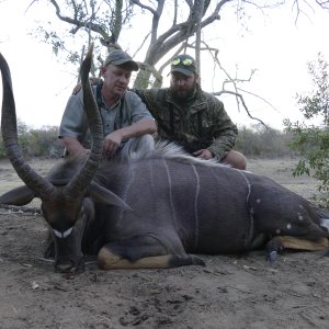 Nyala Hunt South Africa