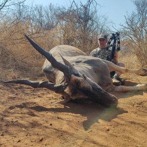 Eland Bow Hunting