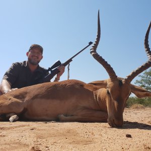 Impala Hunt South Africa