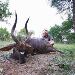 Nyala Hunt South Africa