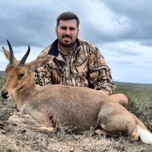 Mountain Reedbuck Hunting South Africa