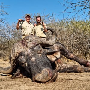 Buffalo Hunting South Africa