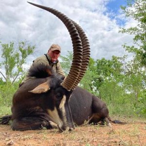 Sable Hunting South Africa