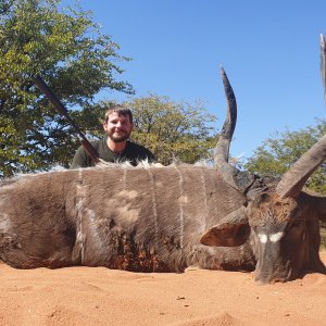 Nyala Hunt South Africa