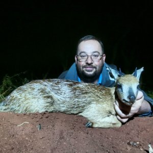 Grysbok Hunt South Africa