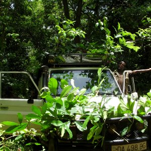 Hunting Team Central African Republic