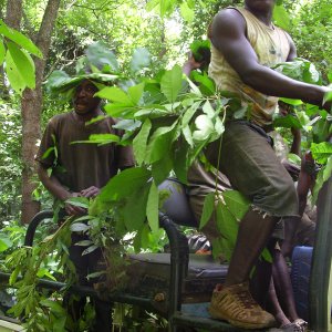 Hunting Team Central African Republic