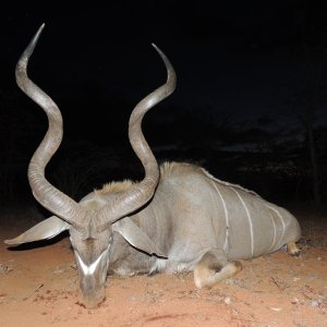 Kudu Hunting South Africa