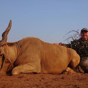 Eland Hunting South Africa