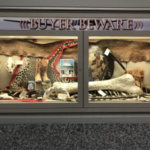 USFWS Seizures Display - Atlanta Airport