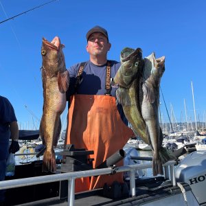 Lingcod Fishing San Francisco