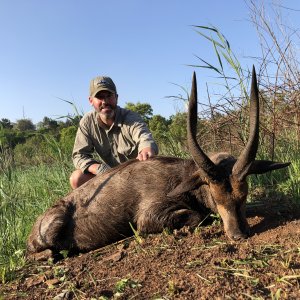 Bushbuck Hunting