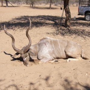 Kudu Hunting