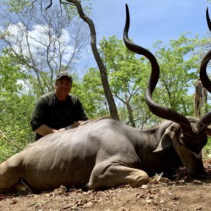 Kudu Hunt Niassa Mozambique