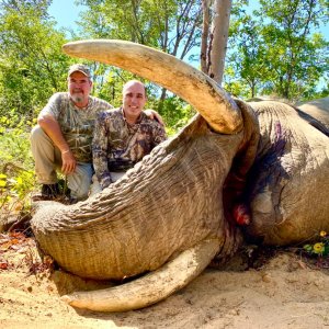 Elephant Hunting Zimbabwe