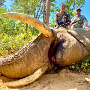 Elephant Hunting Zimbabwe