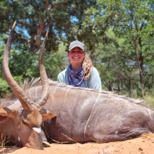 Nyala Hunting South Africa