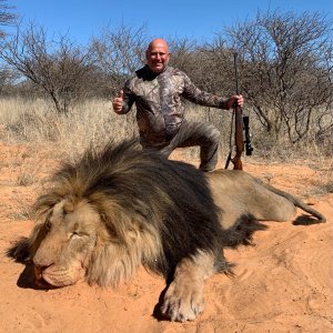 Lion Hunting Limpopo South Africa