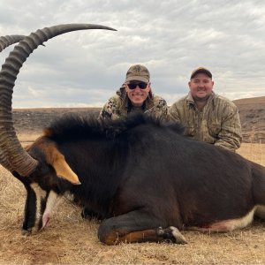 Sable Hunting Limpopo South Africa