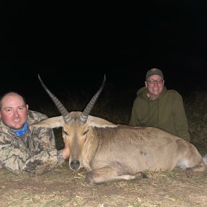 Reedbuck Hunting Limpopo South Africa