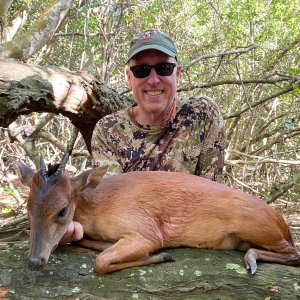 Duiker Hunting Limpopo South Africa