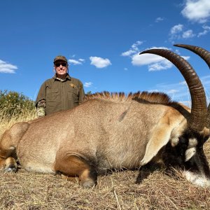 Roan Hunting Limpopo South Africa