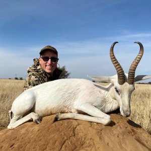 White Springbok Hunting Limpopo South Africa