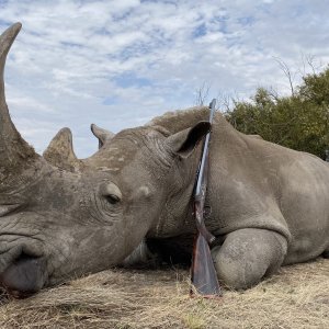 Rhino Hunting Limpopo South Africa