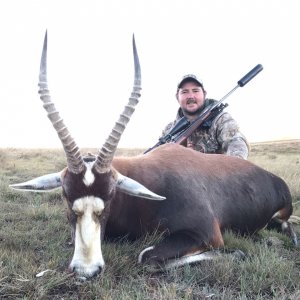 Blesbok Hunting Limpopo South Africa