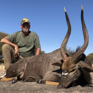 Nyala Hunting Limpopo South Africa