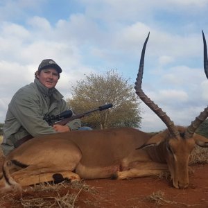 Impala Hunting Limpopo South Africa