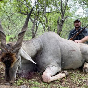 Eland Hunting Limpopo South Africa