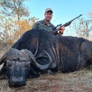 Buffalo Hunting South Africa