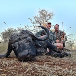 Buffalo Hunting South Africa