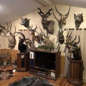 Trophy Room