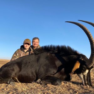 Sable Hunting South Africa