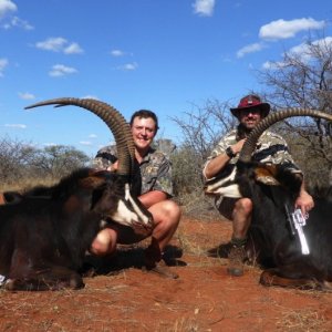 Sable Hunting South Africa