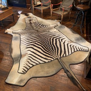 Zebra & Eland Skin